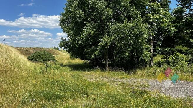 Działka z możliwością zabudowy usługowej, domu