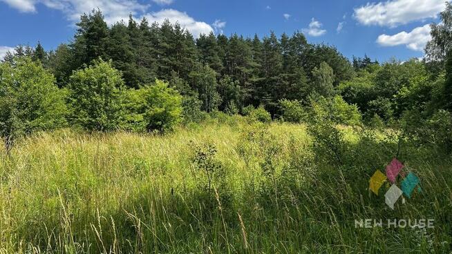 Działka z możliwością zabudowy usługowej, domu