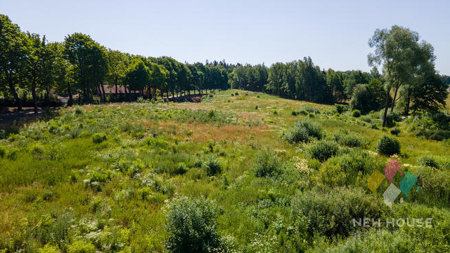 Działka budowlana, Księżno, las i sielski klimat