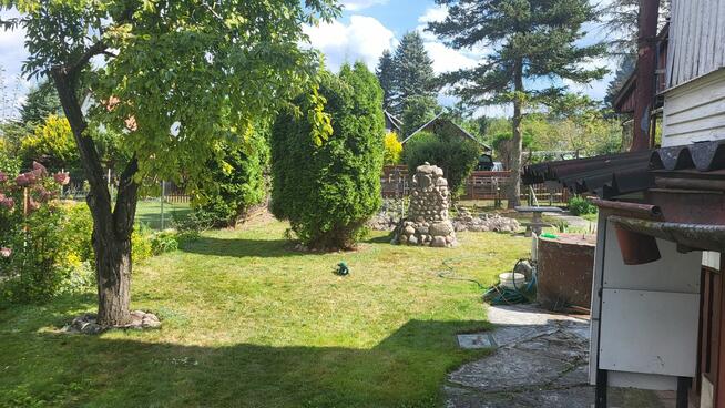 Sprzedam działkę ROD