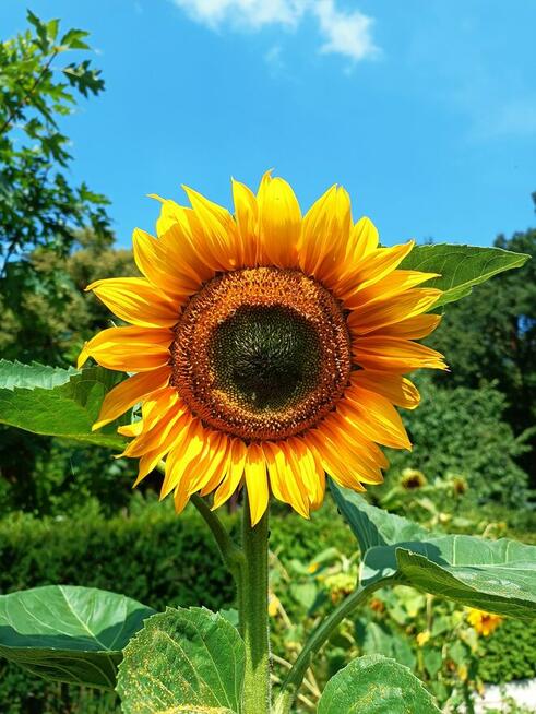 Nocleg w Leśniczówce Bartnia