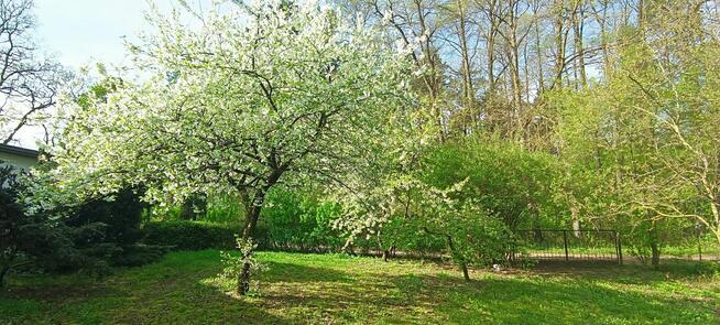 Nocleg w Leśniczówce Bartnia
