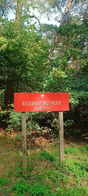 Nocleg w Leśniczówce Bartnia