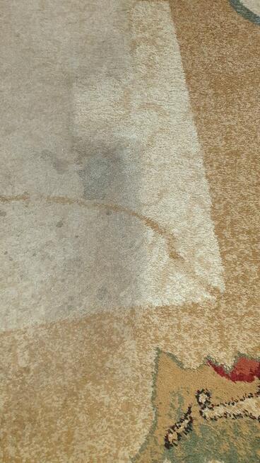 Sprzątanie, czyszczenie tapicerki mycie okien pranie dywanów