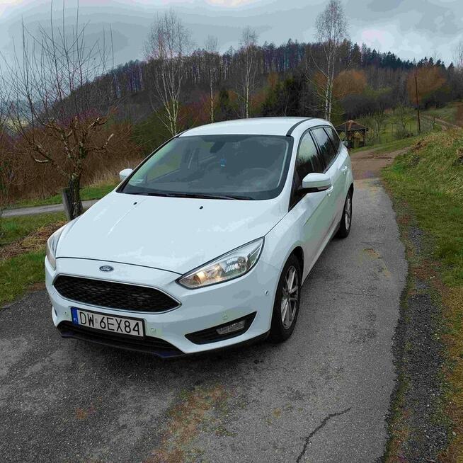 Ford Focus 1.5 - Park Assistant - asystent parkowania