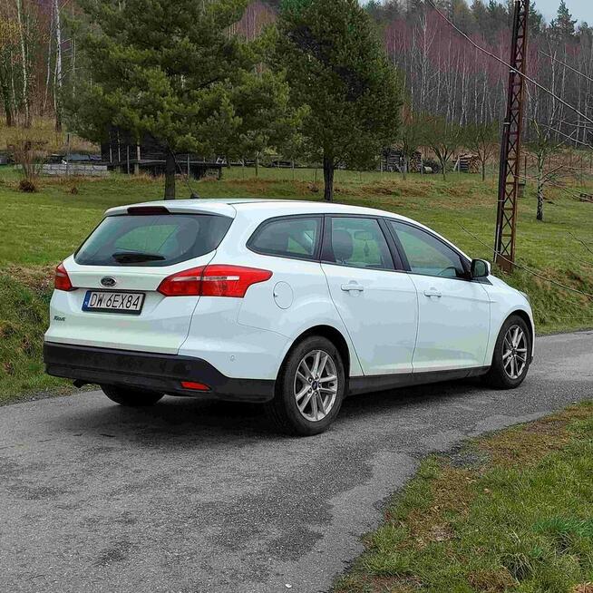 Ford Focus 1.5 - Park Assistant - asystent parkowania