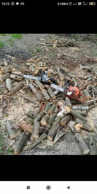 PRACE PRZYDOMOWE KOSZENIE CIĘCIE DREWNA WŁASNY SPRZĘT