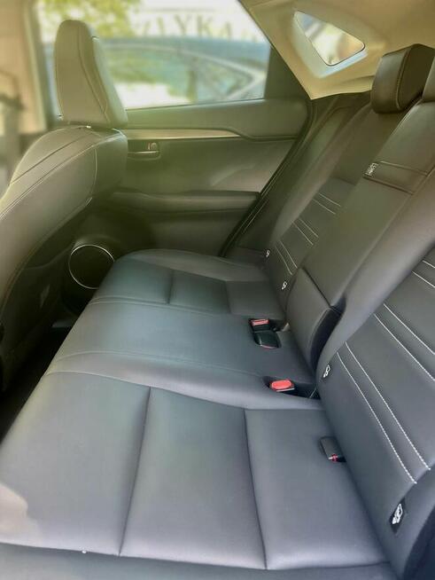 Lexus NX 300h 2020 Premium 4WD