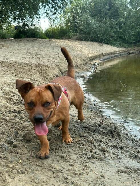 Cudowny młodziak z łóżka trafił do budy POMOCY