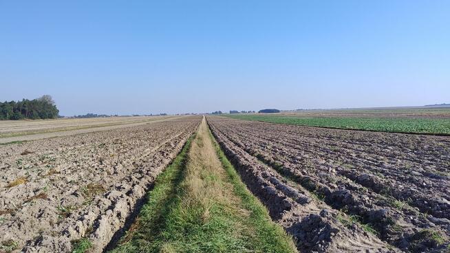 Dobra inwestycja pole orne 5.57 hektara.
