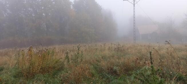 Glinik Charzewski działka 1,18 HA Sprzedam