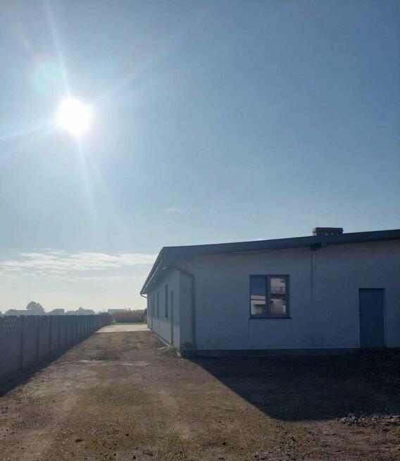 Do sprzedaży parterowy pawilon-hala o pow 250m2