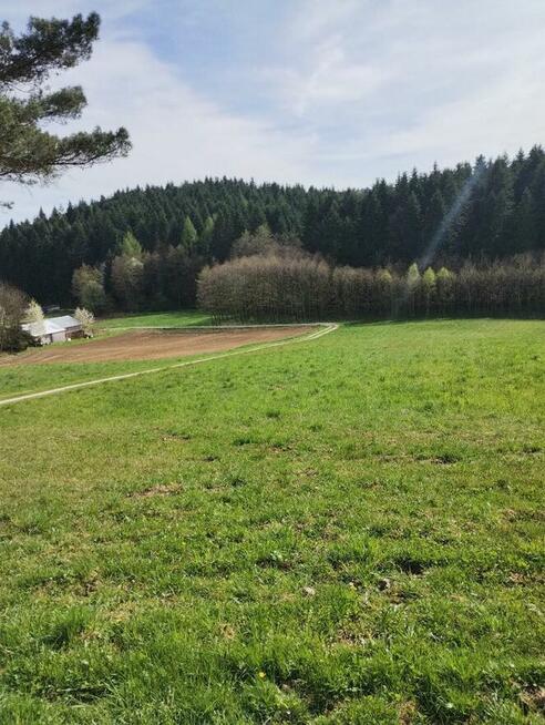 Sprzedam działkę budowlaną