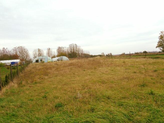 Gmina Wilczyn – Działka Budowlana