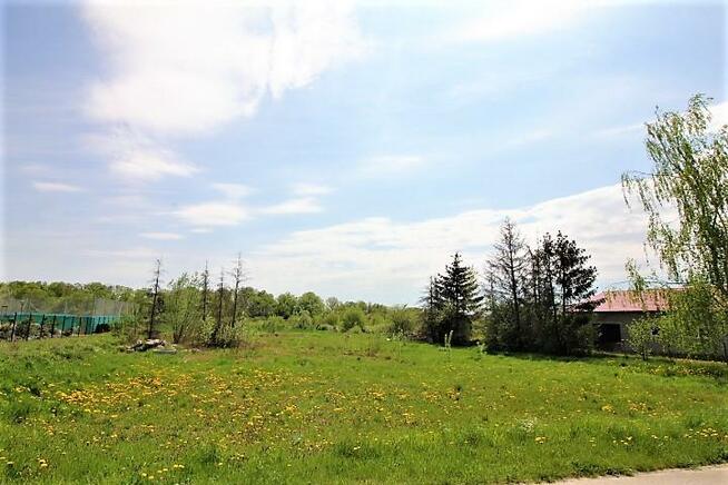 Działka budowlana Czechowo gm. Elbląg