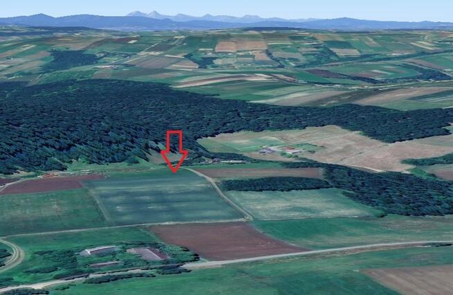 Działka siedliskowa- 99 arów- Beskid Sądecki