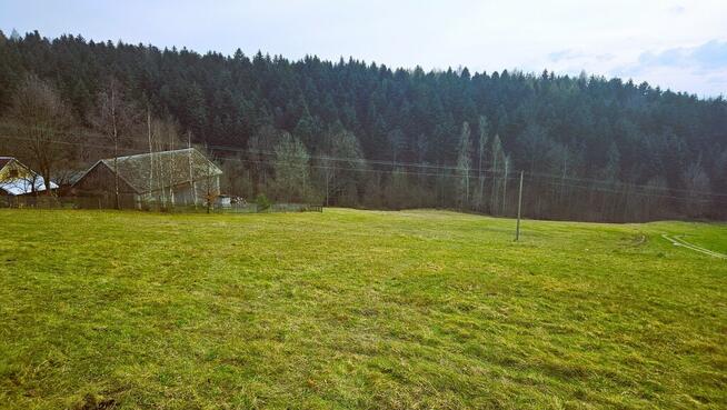 Działka siedliskowa- 99 arów- Beskid Sądecki