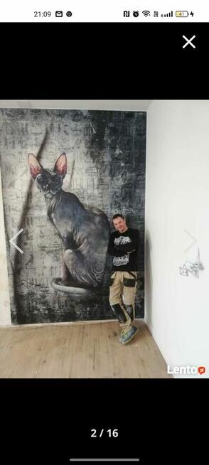 Wykonam remonty mieszkań ,nieruchowosci