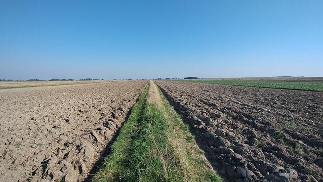 Zadbane i uprawiane grunty orne 5.575 hektara .