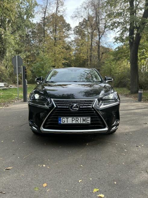 Lexus NX 300h 2020 Premium 4WD