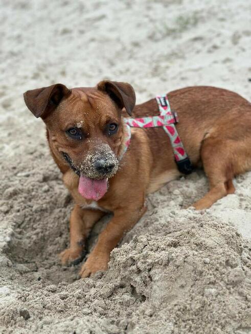 Cudowny młodziak z łóżka trafił do budy POMOCY