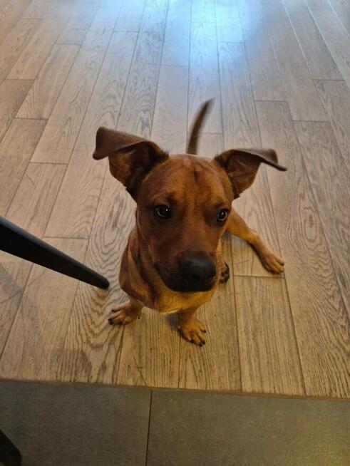 Kochany młodziak trafił za kraty odmień jego los POMOCY