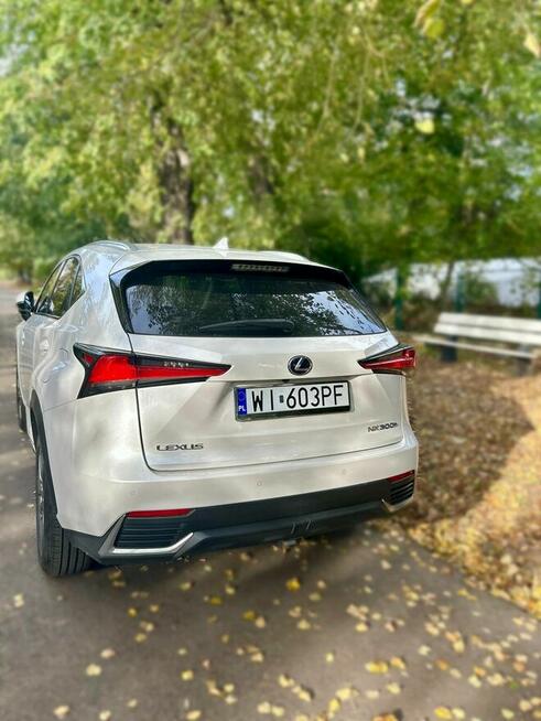 Lexus NX 300h 2020 Premium 4WD