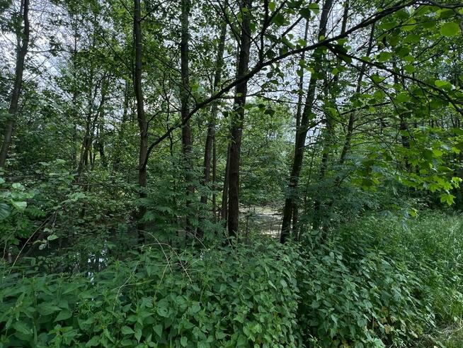 Urokliwy, duży teren budowlano-rekreacyjny w Cieszynie.