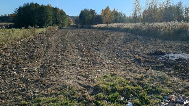 Działka blisko lasu w Łaskach, 5 km od centrum Jasła