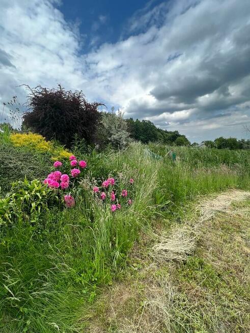 Urokliwy, duży teren budowlano-rekreacyjny w Cieszynie.