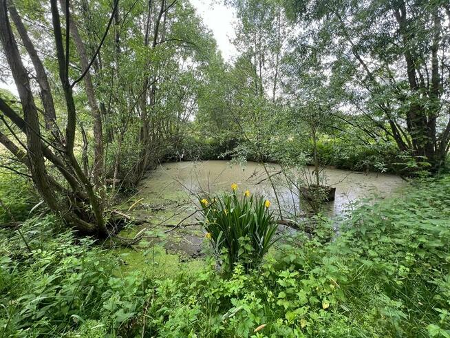 Urokliwy, duży teren budowlano-rekreacyjny w Cieszynie.