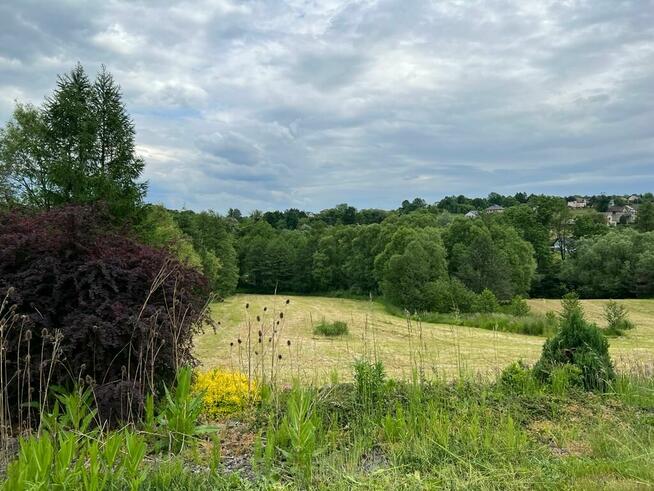 Urokliwy, duży teren budowlano-rekreacyjny w Cieszynie.