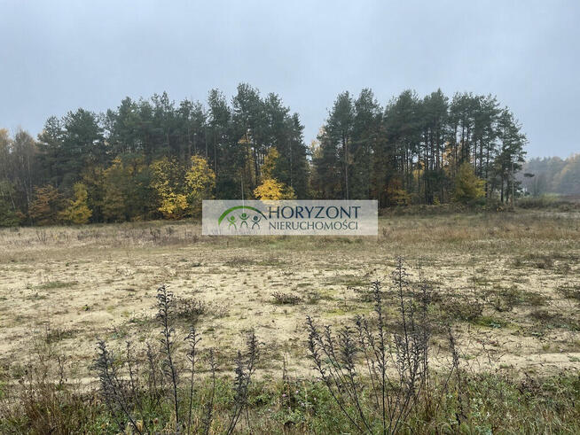 Kamień - działka przy zagajniku