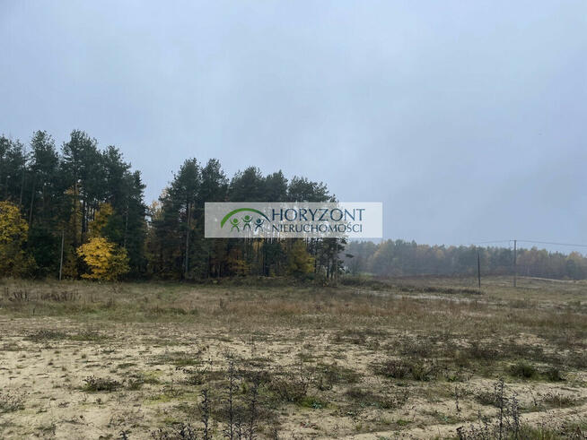 Kamień - działka przy zagajniku