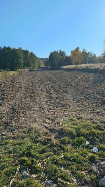 Działka blisko lasu w Łaskach, 5 km od centrum Jasła