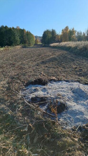 Działka blisko lasu w Łaskach, 5 km od centrum Jasła