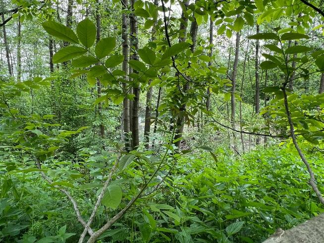 Urokliwy, duży teren budowlano-rekreacyjny w Cieszynie.