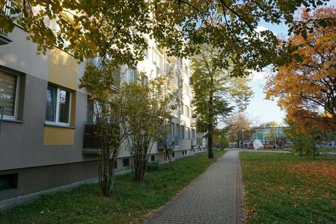 4 pokoje z balkonem w Stalowej Woli