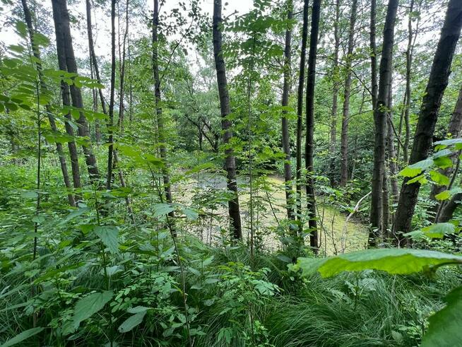 Urokliwy, duży teren budowlano-rekreacyjny w Cieszynie.