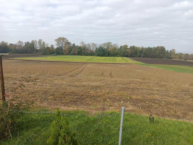 Sprzedam działkę 16ar z warunkami zabudowy.