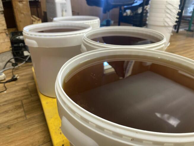 Oferujemy najwyższej jakości miód wielokwiatowy prosto z nas