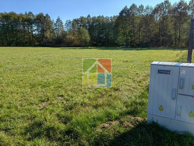 Działka budowlana pod Gostyninem