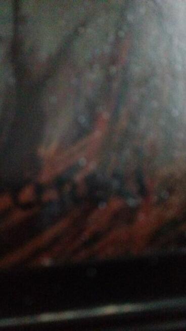 Stary olejny pejzaż sygnowany Aneri (Irena Weiss)