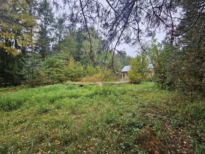 Działka, Rogóźno, 9 ar, media, Jezioro Rogóźno