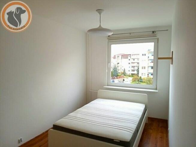 Imbirowa 3C, Dąbrowa, 2 pokoje, pet-friendly