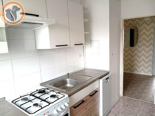 Imbirowa 3C, Dąbrowa, 2 pokoje, pet-friendly