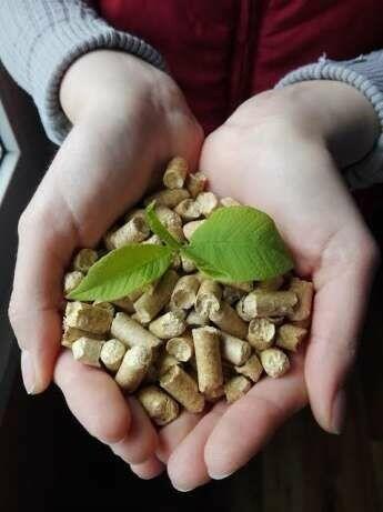 Pellet Hard OAK
