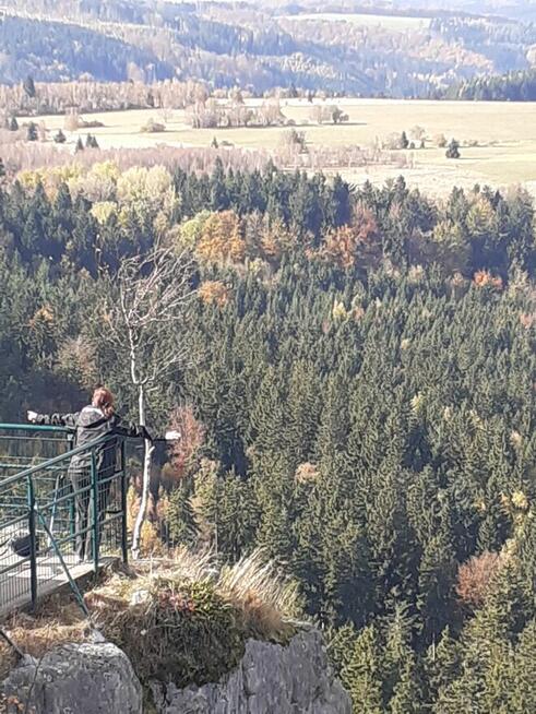 Dom do wynajęcia w górach