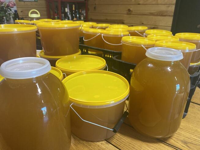 Oferujemy najwyższej jakości miód wielokwiatowy prosto z nas