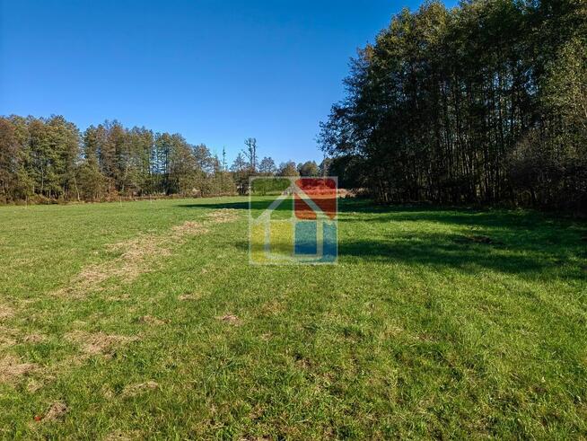 Działka budowlana pod Gostyninem